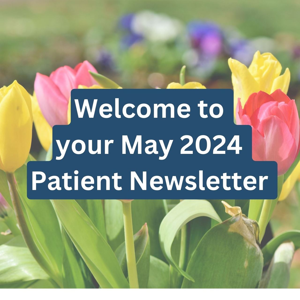 Welcome to your May 2024 Patient Newsletter